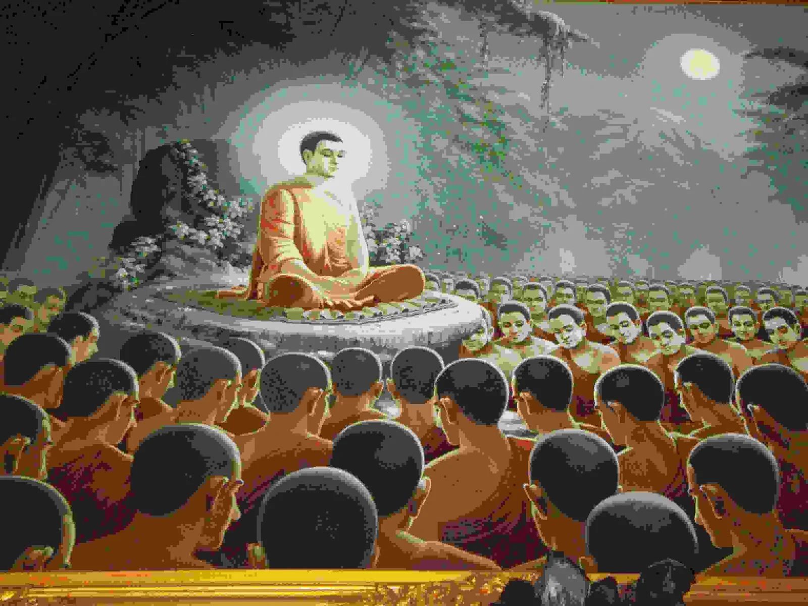 Meditate & Celebrate Life